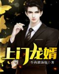 火线传奇灵狐污照
