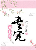 影视大全高清版免费观看网