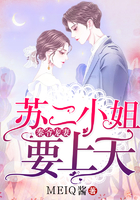 如若巴黎不快乐免费观看电视剧