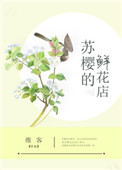 边城破晓电视剧全集在线观看