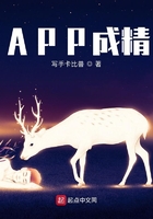 公车性