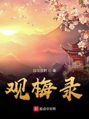 丽莎安lisaann办公室