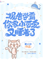 江城警事郑如心是好人吗