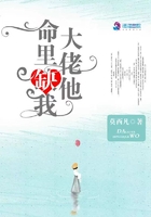 美味媳妇苏媚赵春城