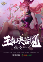 查理九世电子书