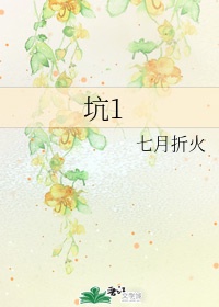 浮图塔小说免费阅读