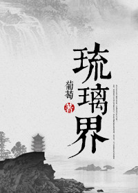 神奇宝贝h第二部小狂