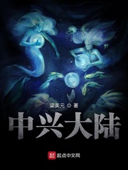 美国式禁忌14集k8经典网
