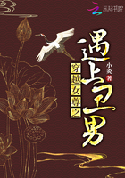一笑倾城之极品系统
