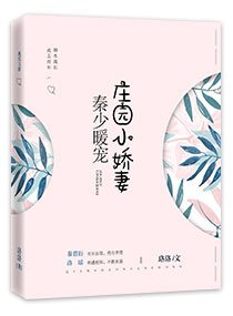 九十年代家属院格格党