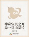 公车经典诗晴全版