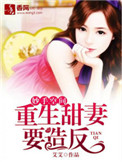 中国式离婚电视剧全集