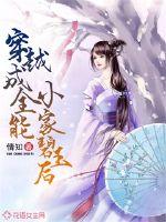 美妇小说