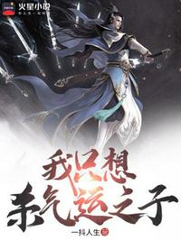 元婴老祖夺舍重生现代
