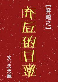 全职业法神