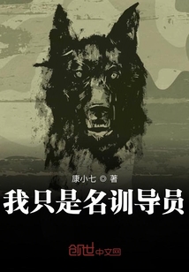 中文stream6视频