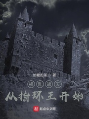 边境检察官