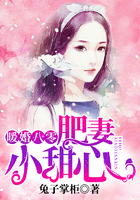 极品丈母娘秦菲雪秦浩