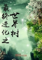 三极片
