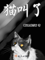 澳门风云3免费完整版