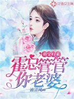 神奇宝贝之无限宝箱