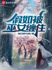 女局长之权征途