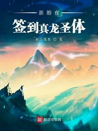 射雕风流传未删节全本