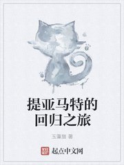 一级a爱大片免费视频