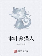 狠狠插视频