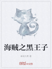 爱情综合症小说
