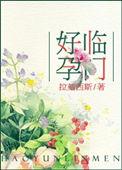 广东综合素质评价平台系统登录