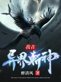 大象传媒入口2024