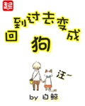 从你的全世界路过迅雷下载