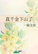 少年派免费观看