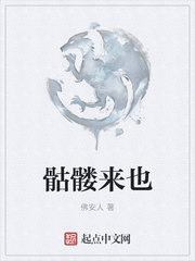 我和黑老大的365天