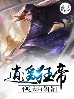 烟袋斜街十号小说