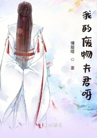爱情开关电视剧