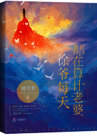风流母亲乱情录阅读