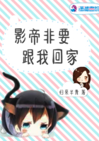 清穿我的崽崽是太子