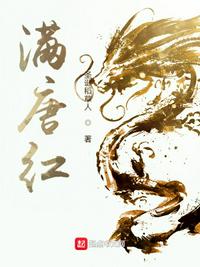 贵妃承宠记op