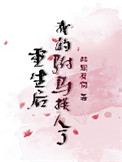 碟影电视剧全集播放在线观看