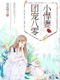 磁力全聚合