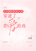 数码暴龙2