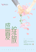 打字机n号作品集
