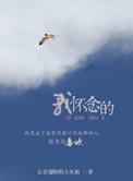 津门飞鹰40集免费观看