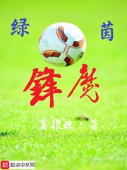 岛国男女v片免费观迅雷看