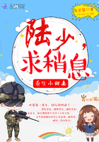 男欢乐爱久石第二部