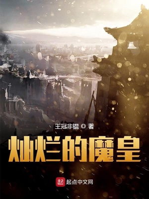 痴母中文版手机在线观看