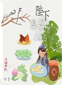 91视频看看