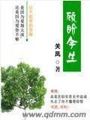 甄子丹 电影